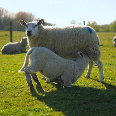 Bed and Breakfast The Byre North End Farm Ashton Keynes Exteriér fotografie